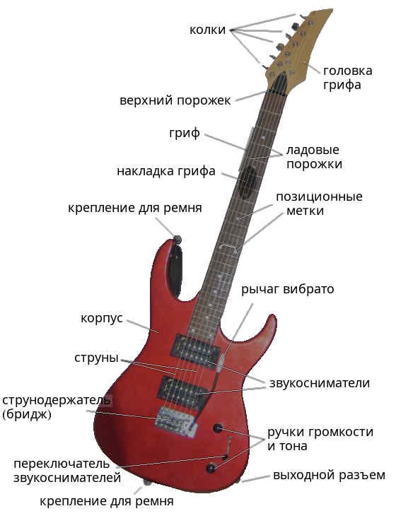 рисунок электрогитары с названиями ее основных частей